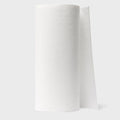 Paper Towels (24 Rolls)