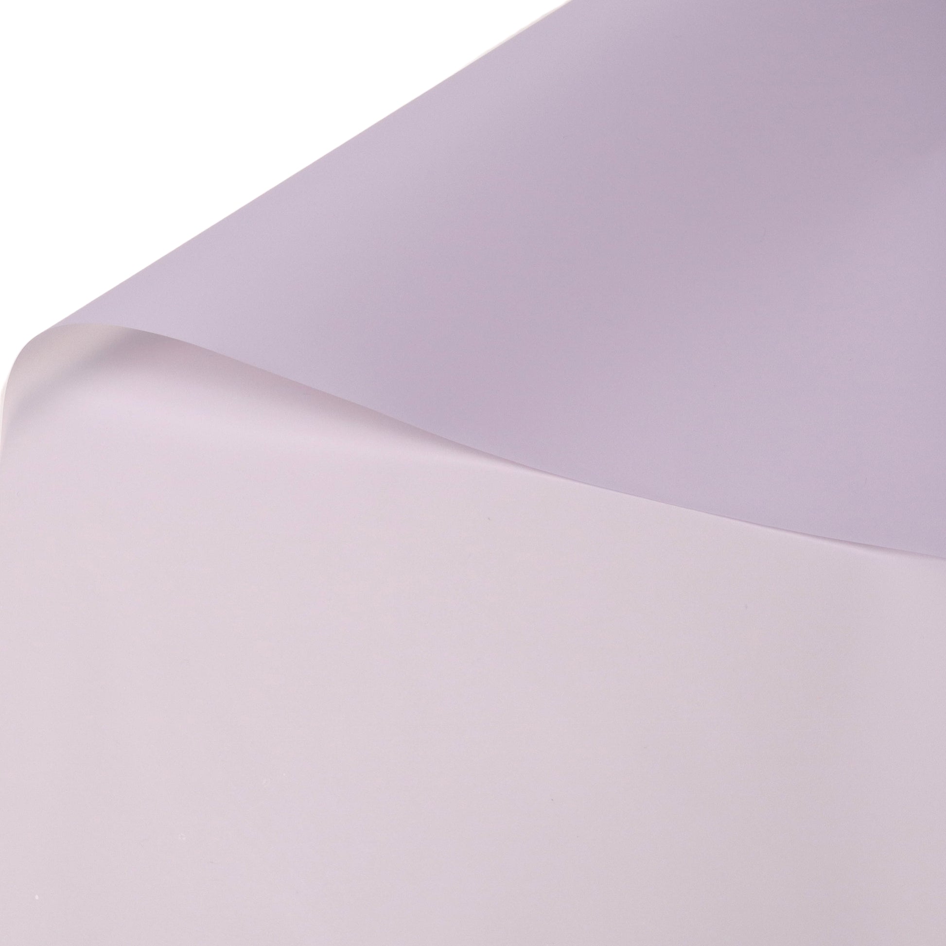 Feuilles de bouquet translucides et imperméables