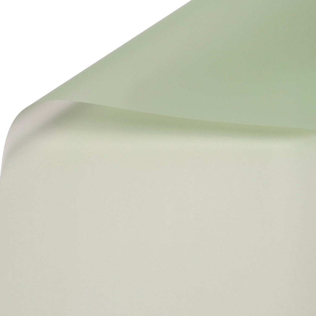 Feuilles de bouquet translucides et imperméables